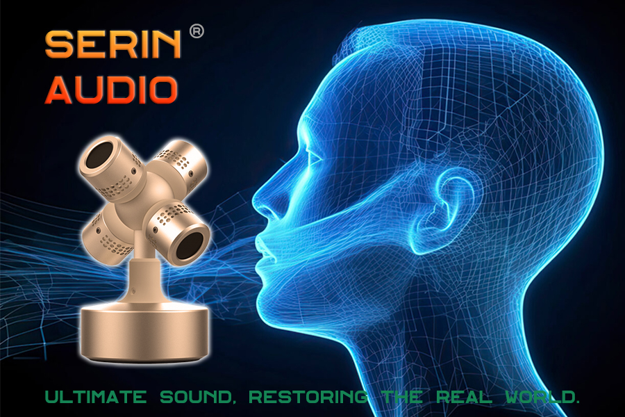 3D Microphone